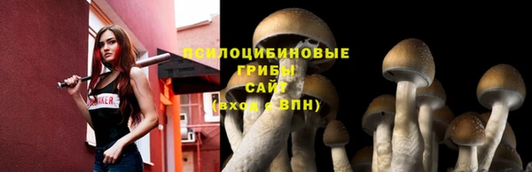 mdpv Инсар