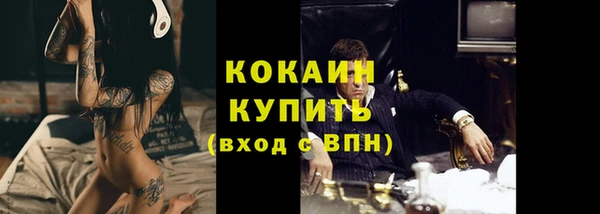 mdpv Инсар