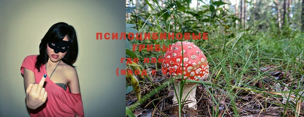 spice Иннополис