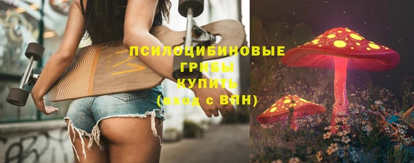 mdpv Инсар