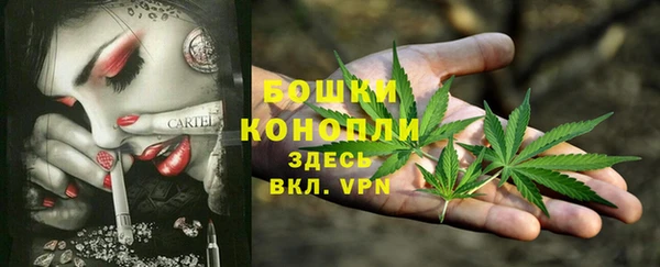 spice Иннополис