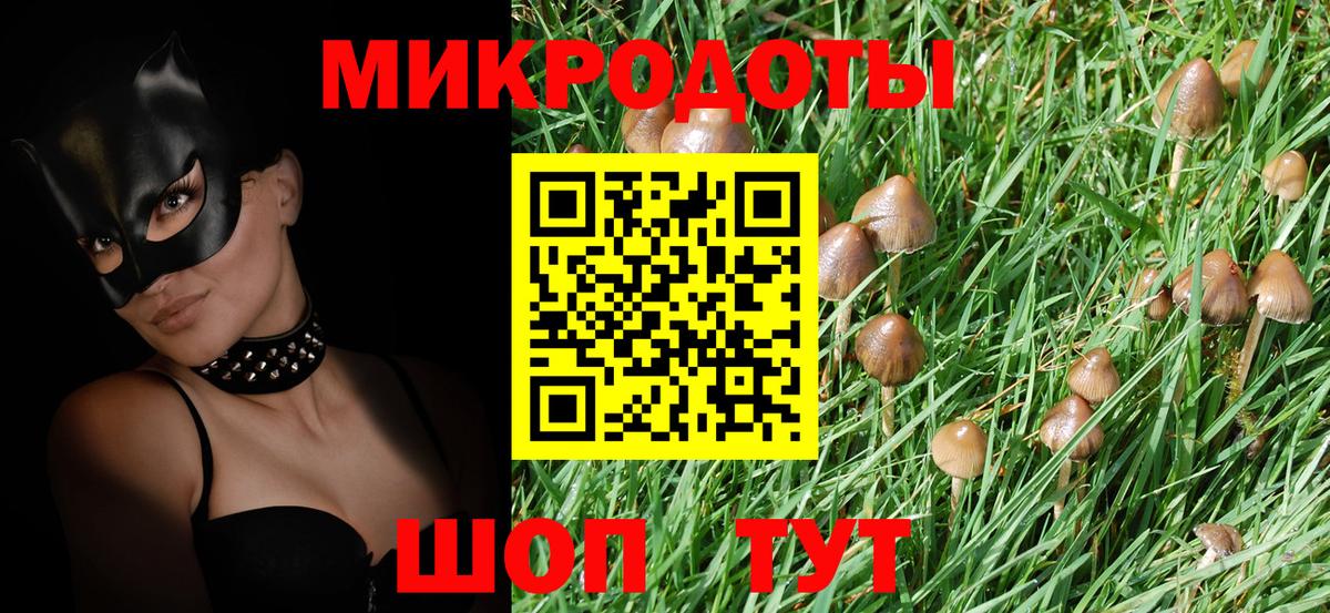 Галлюциногенные грибы Magic Shrooms Ишимбай